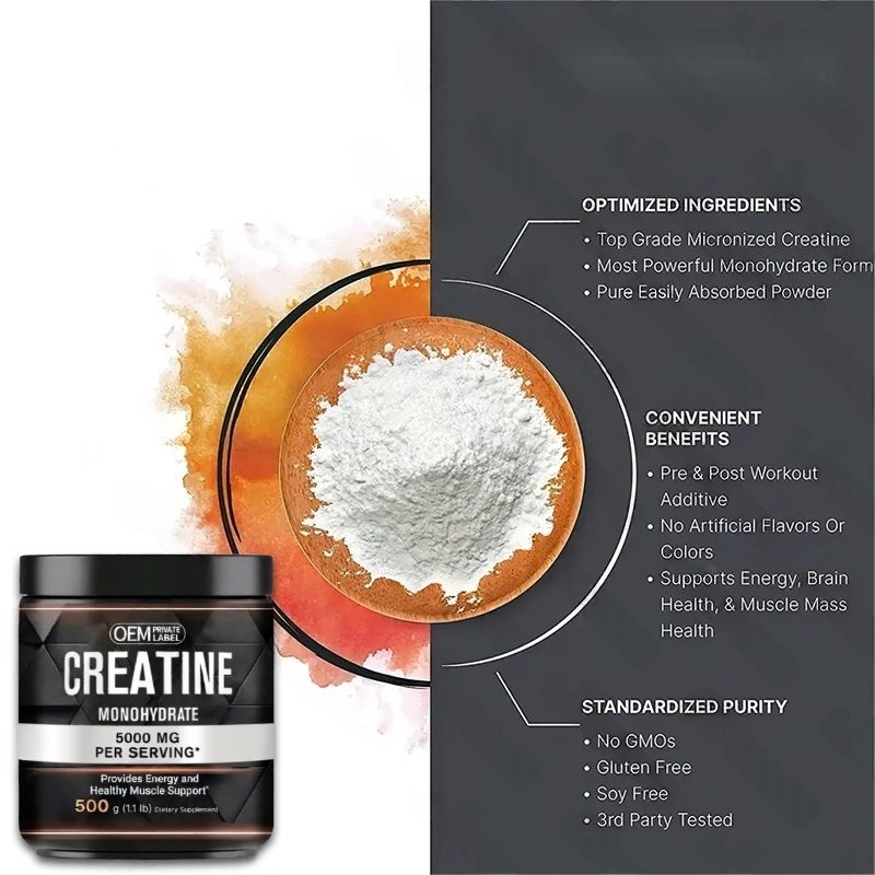 Creatine Monohydrate Powder Supplier - 99.5% Pure Muscle Growth Support