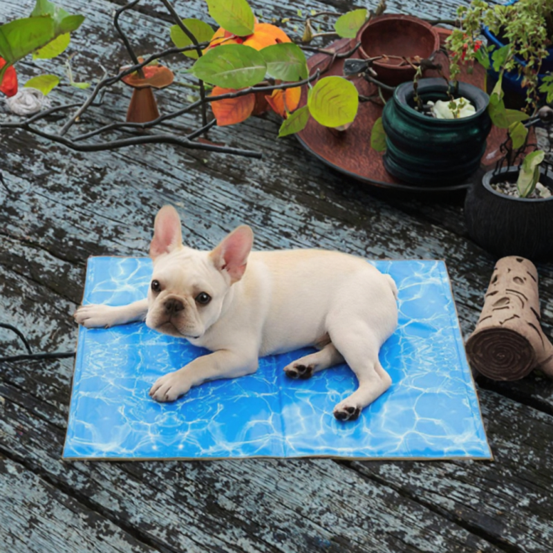 Large Dog Mat Factory - Custom Made Reversible Nylon