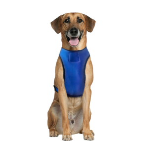 Dog Cooling Vest Manufacturer - Summer Jacket Coat Evaporative