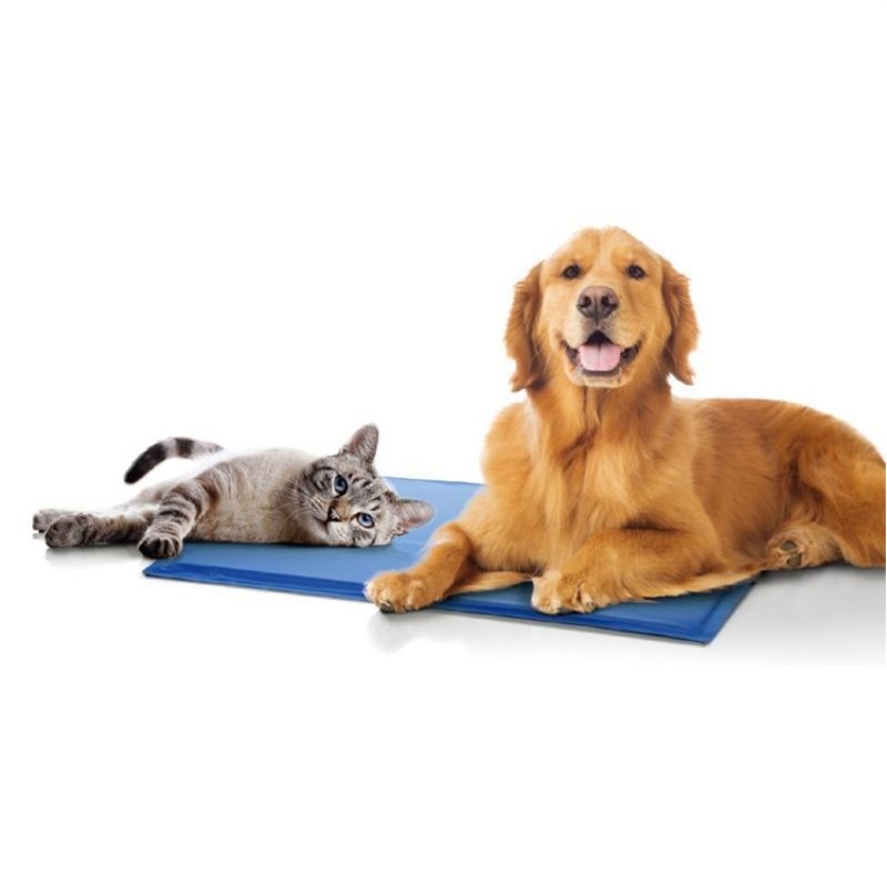 Pet Cool Mat Manufacturer - Best Selling Self Cooling Pad
