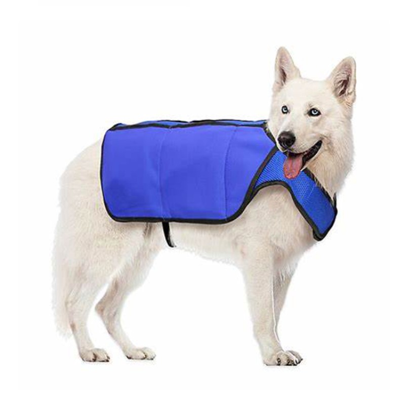 Dog Cool Clothes Supplier - Essential Cold Clothes Summer
