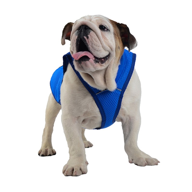 Dog Cool Clothes Supplier - Essential Cold Clothes Summer