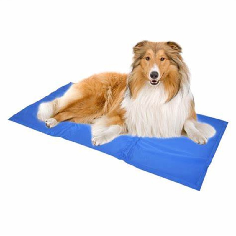 Pet Cool Mat Manufacturer - Best Selling Self Cooling Pad