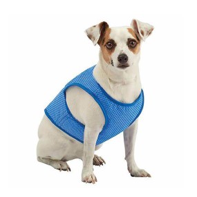 Dog Cool Clothes Supplier - Essential Cold Clothes Summer
