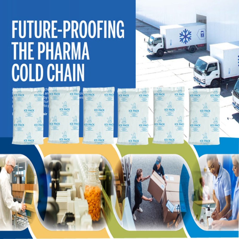 Long Lasting Gel Pack Manufacturer - Safe Transport for Food Medical