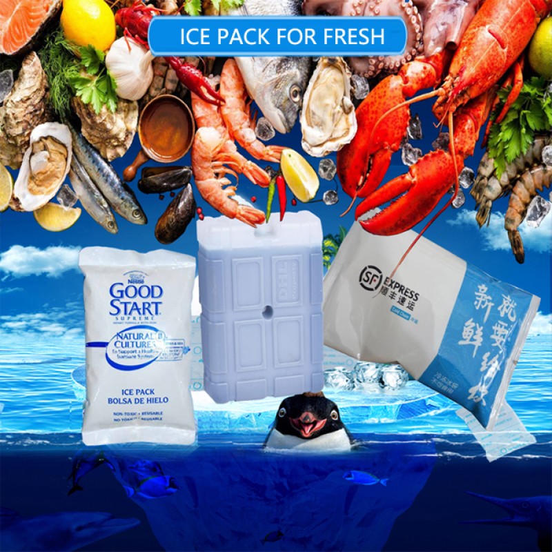 Long Lasting Gel Pack Manufacturer - Safe Transport for Food Medical