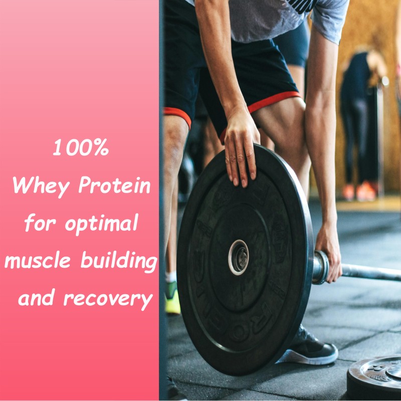 Whey Protein Isolate Supplier - Gold Standard Fitness Weight