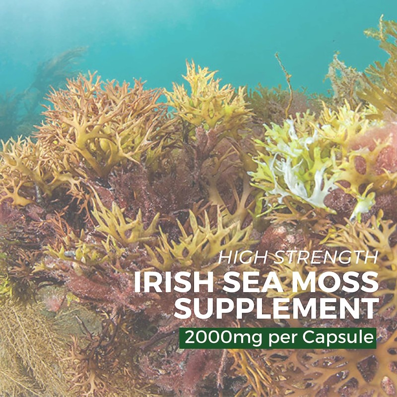Custom Sea Moss Capsules Supplements Enhance Adults Immune System to Promote Thyroid and Digestive Health