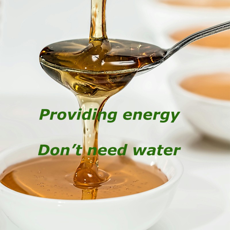 Oem Odm Energy Gel 12 Pack Suitable for Stomach Use Real Food Energy Gel Suitable for Endurance Exercise