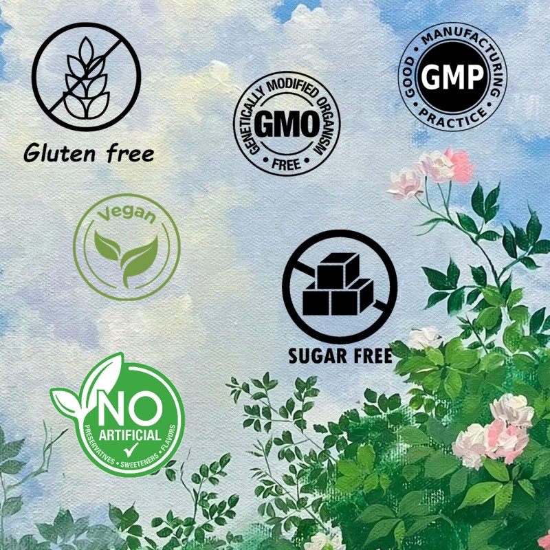 Whey Protein Powder Manufacturer - 1.5kg Gluten Free Sports