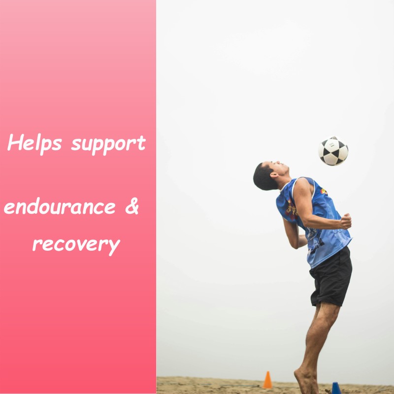 Whey Protein Concentrate Supplier - Double Chocolate Sport