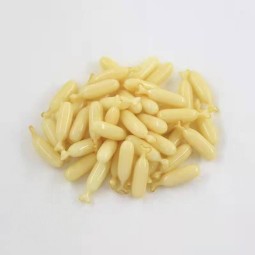 Collagen Capsules Manufacturer - Rich Vitamins Protein Energy