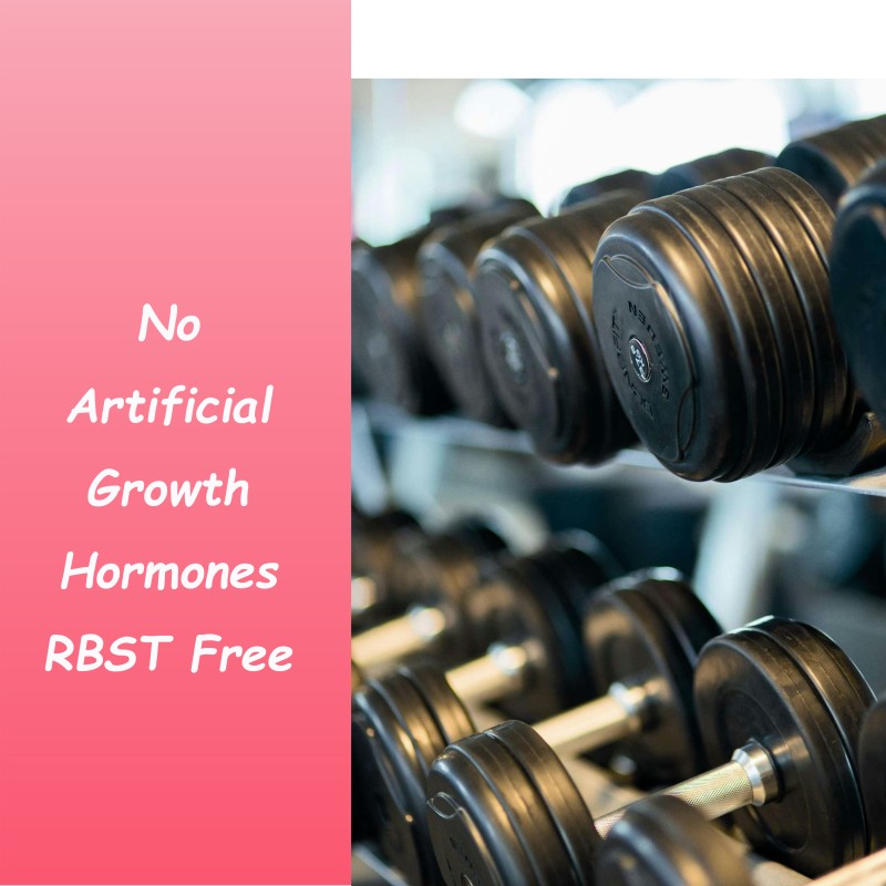 OEM/ODM Non-GMO Whey Protein Powder 1.5kg Per Barrel Bulk Chocolate Flavor Energy Booster Support Muscle Building for Adults