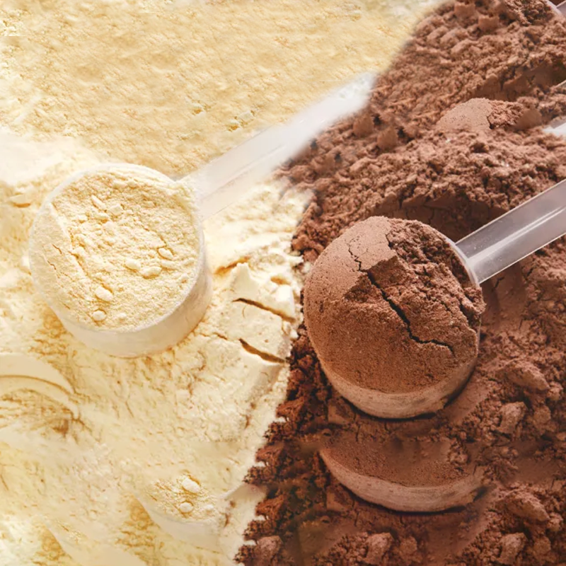 Whey Protein Powder Factory - Gold Standard Chocolate Muscle