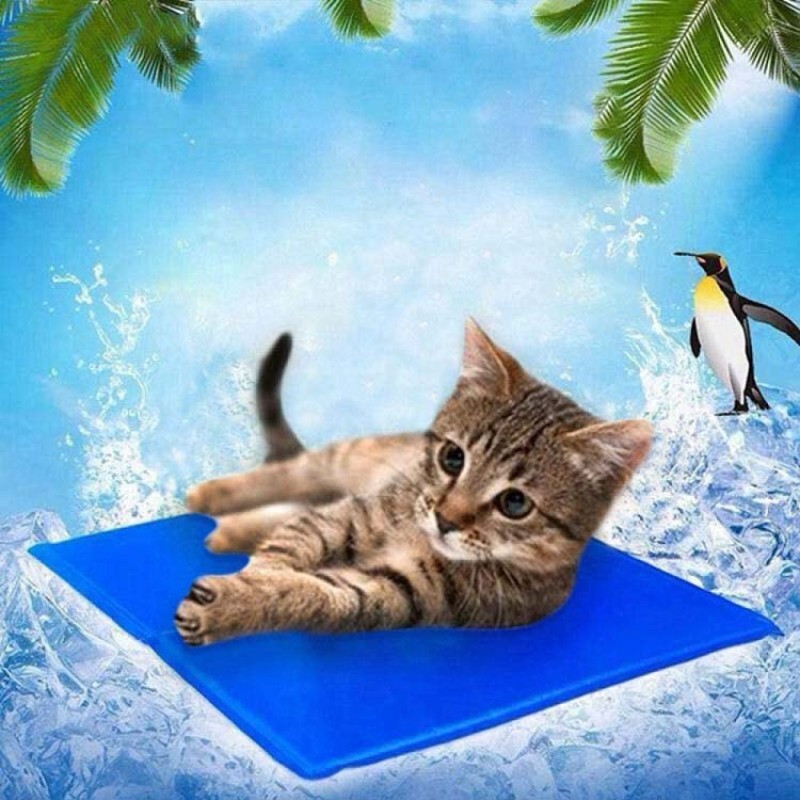 Pet Cooling Mat Supplier - Large Non Toxic Dog Cat Bed