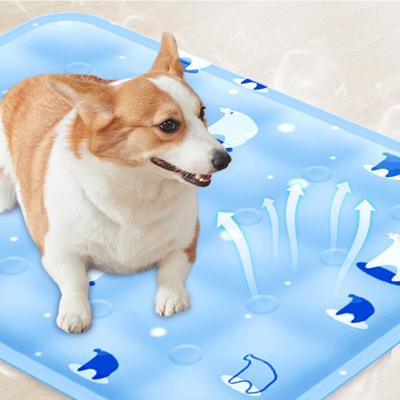Pet Ice Pad Manufacturer - Luxury Waterproof Print Design