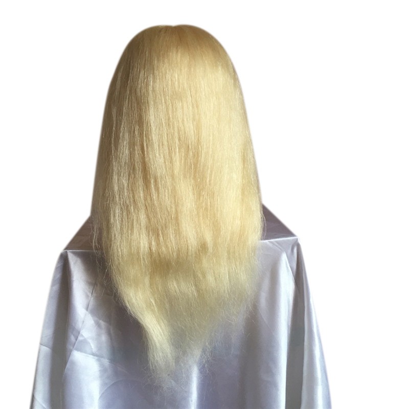 Training Head Factory - Professional Practice Head