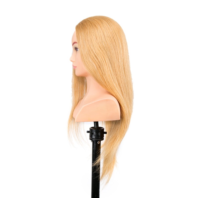 Natural Hair Extension Model Factory - Realistic Display Head
