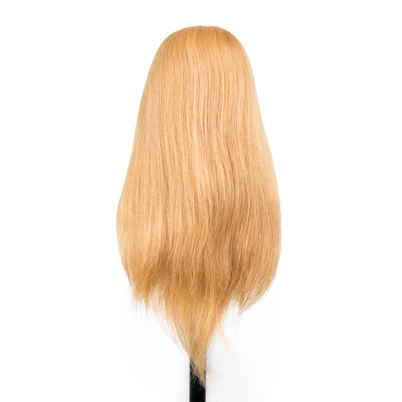 Natural Hair Extension Model Factory - Realistic Display Head