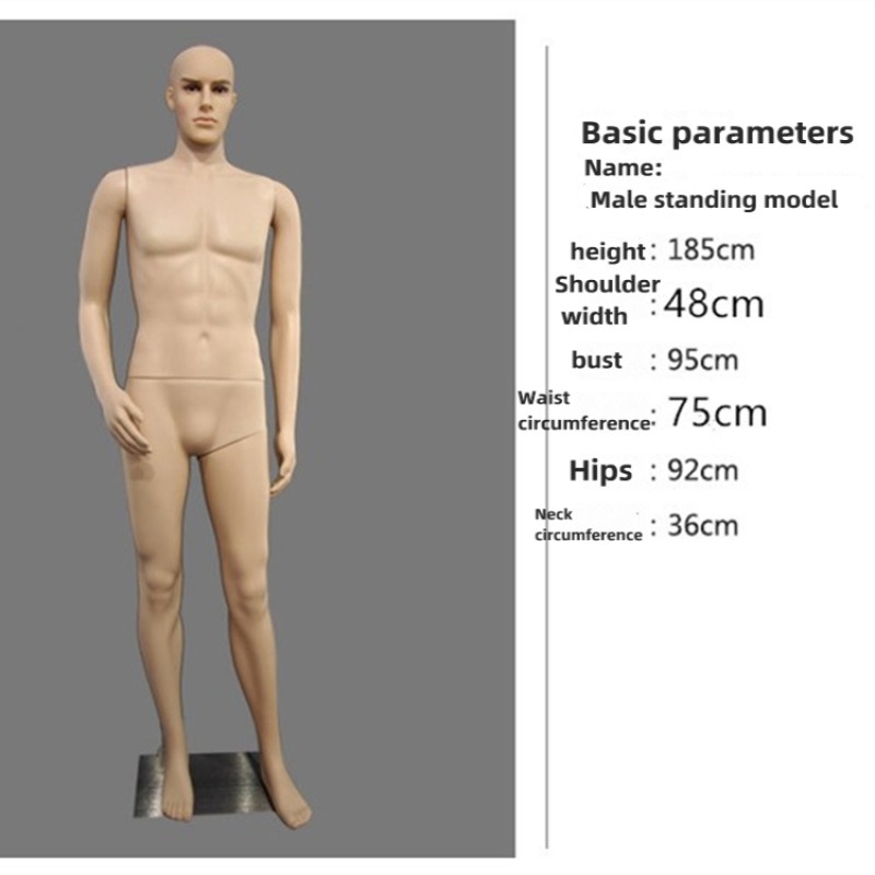 Full Body Mannequin Factory - Men's Clothing Dummy