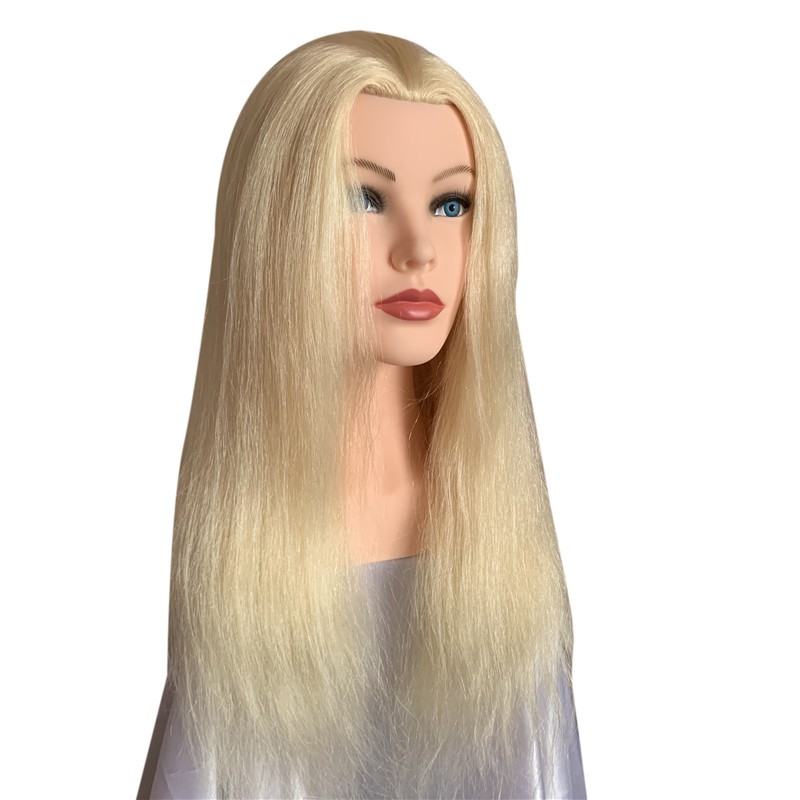 Human Hair Mannequin Head Manufacturer - Wig Practice Head