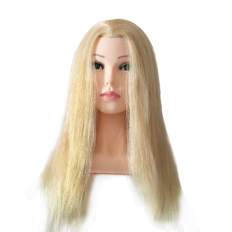 Training Mannequin Head Supplier - Hair Practice Head