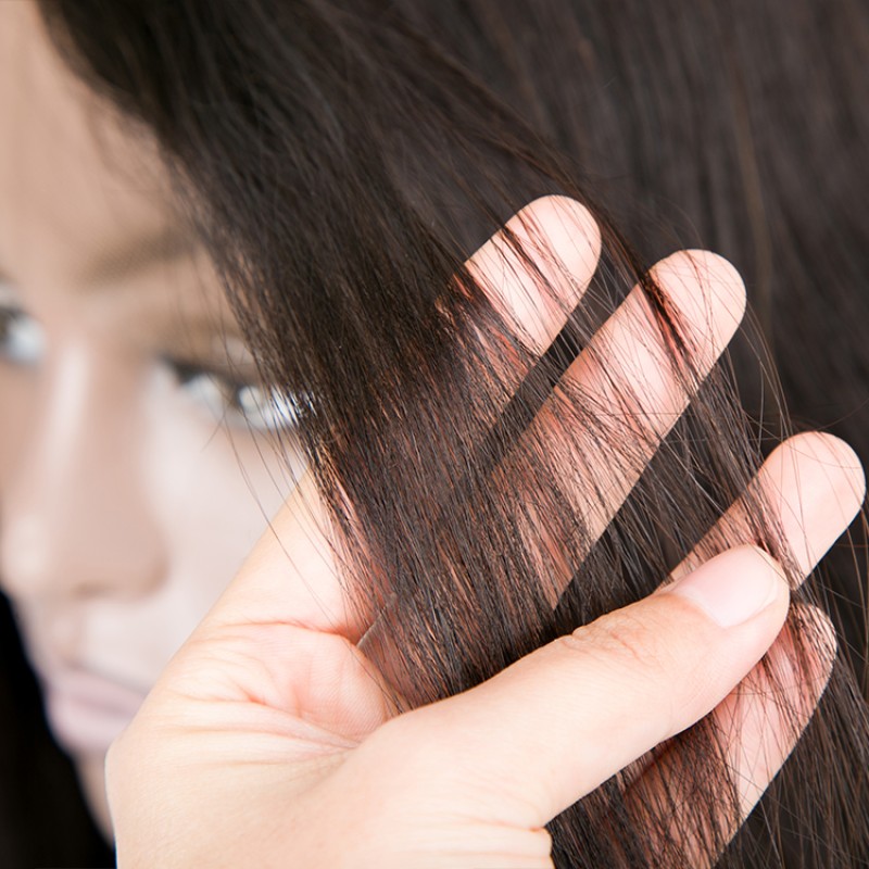 Raw Human Hair Joy Wig Manufacturer - Modacrylic Fiber Lace Wig