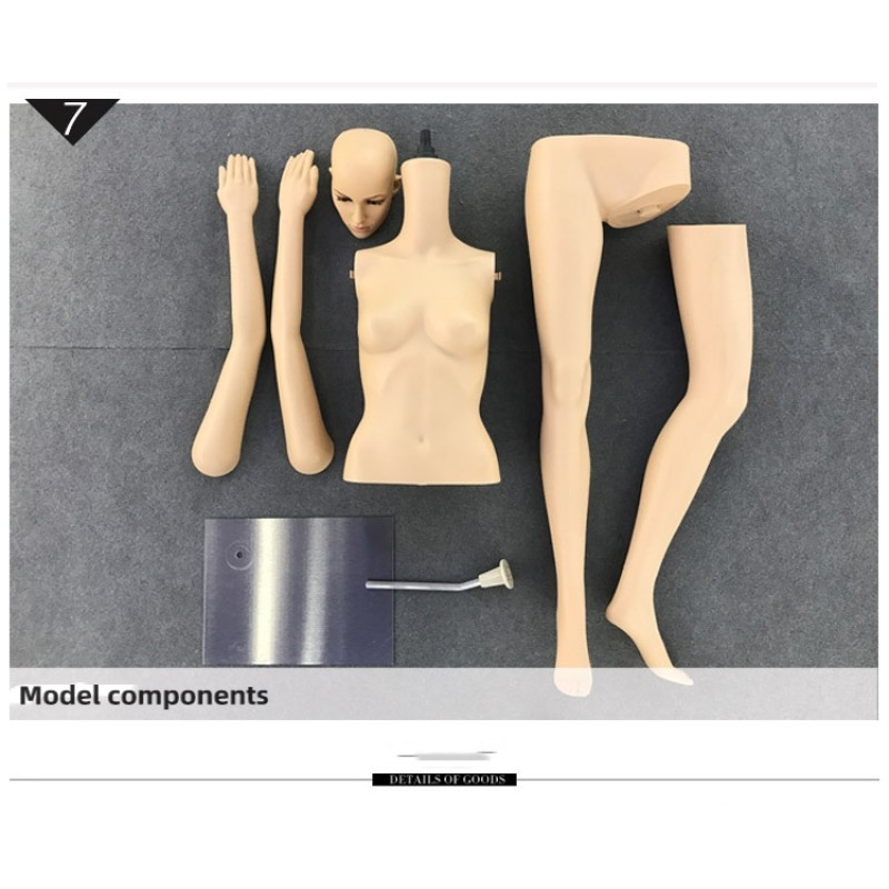 Abstract Male Model Manufacturer - Plastic Dummy Stand