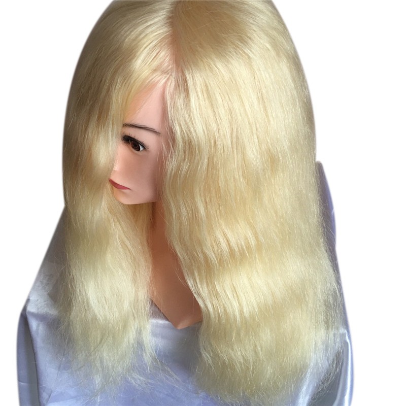 Training Head Factory - Professional Practice Head