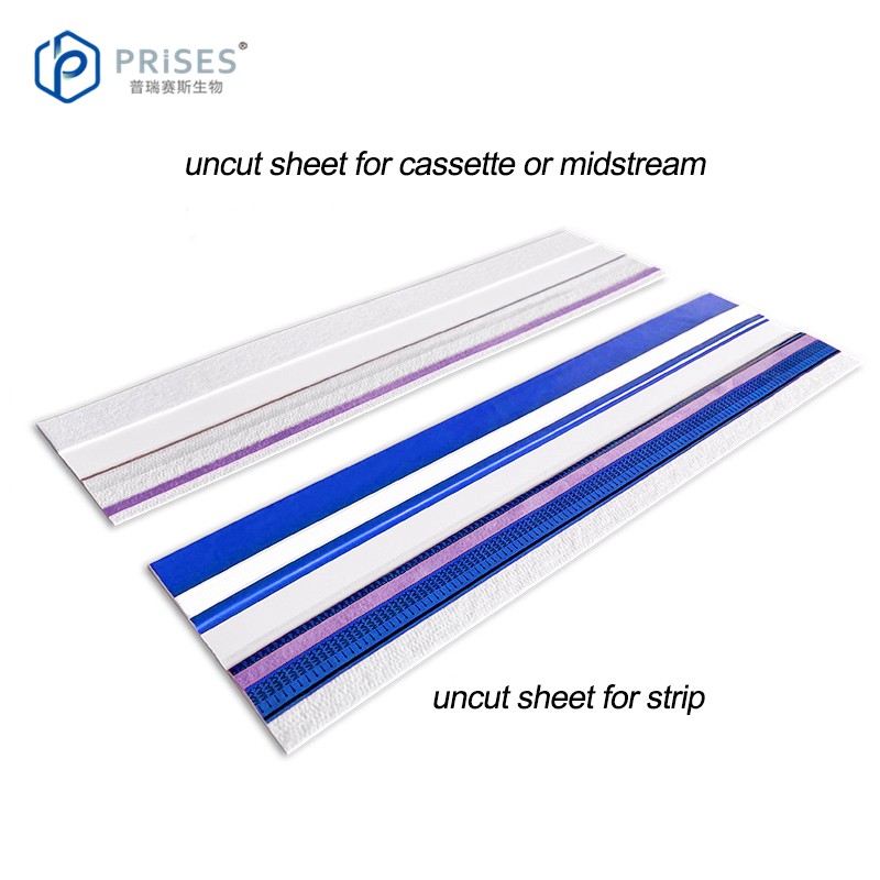 Lateral Flow Assay Supplier - Female LH Ovulation Test