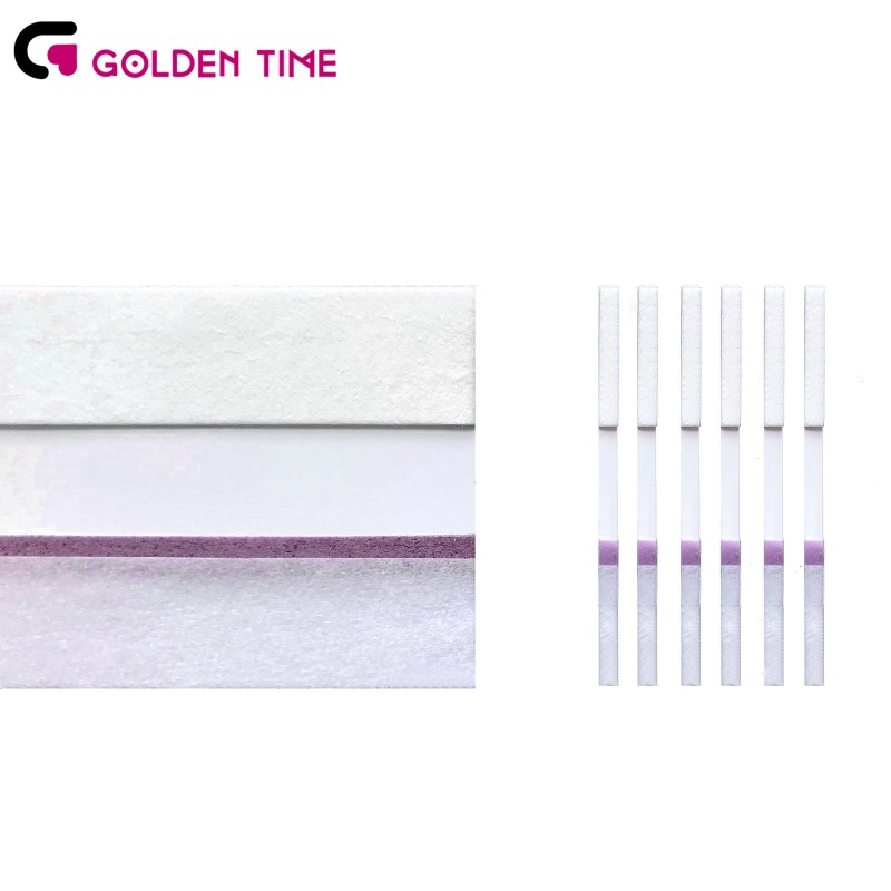 Lateral Flow Sheet Factory - Raw Material Uncut Sheet