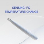 Thermometer