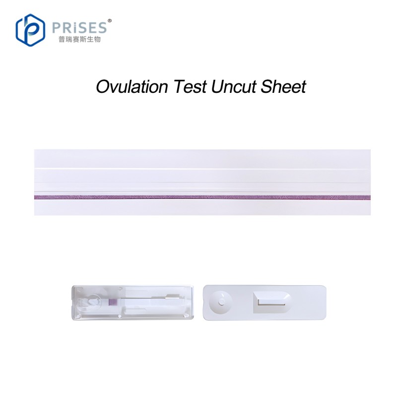 Lateral Flow Assay Supplier - Female LH Ovulation Test