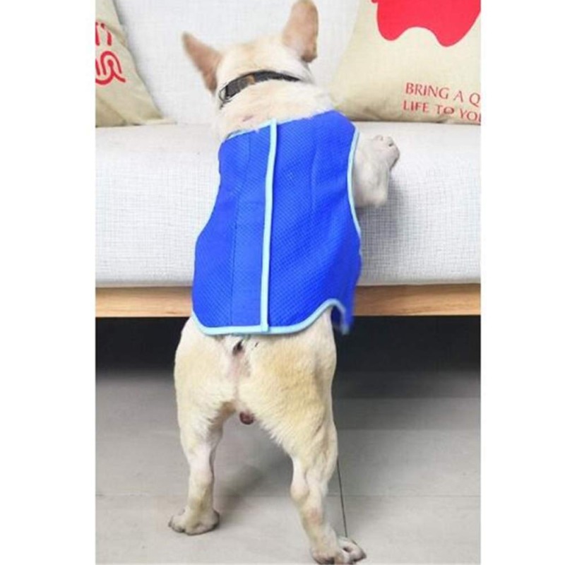 Breathable Ice Vest Manufacturer - Small Medium Large Dogs