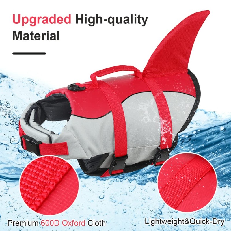 Interactive Pet Toy Manufacturer - Watermelon Pineapple Shape