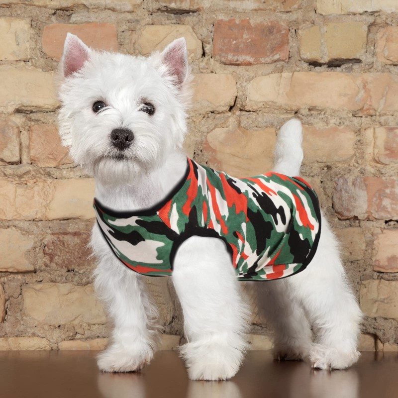Summer Dog Shirt Factory - Cool Evaporative Pet Coat