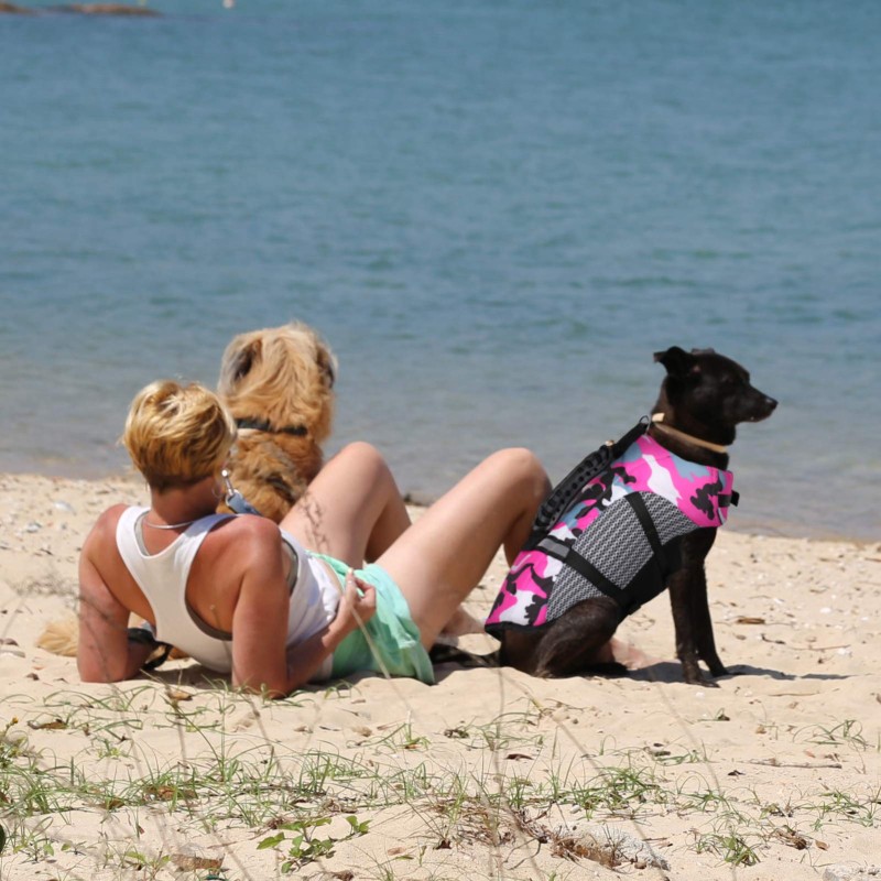 Inflatable Surfboard Factory - Paddle Board Water Play