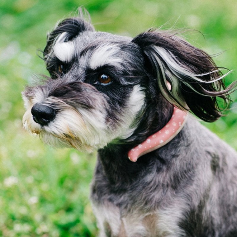 Reusable Neck Cooler Factory - Portable Hands-Free Cooling
