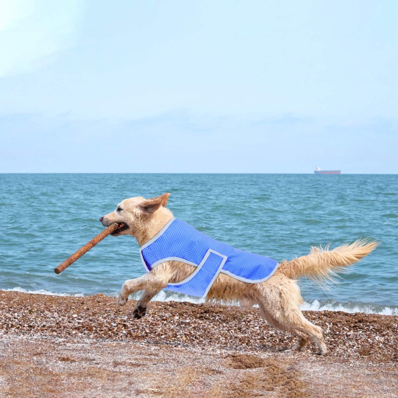 Adjustable Dog Jacket Factory - Cotton Breathable Mesh