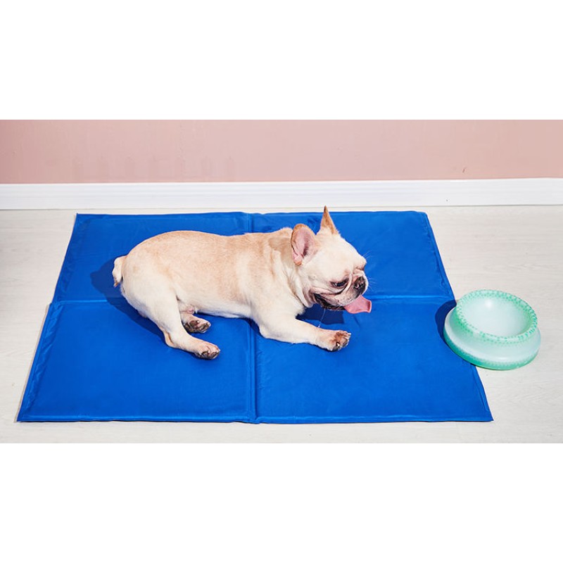 Dog Bath Pool Factory - Medium Portable Tub