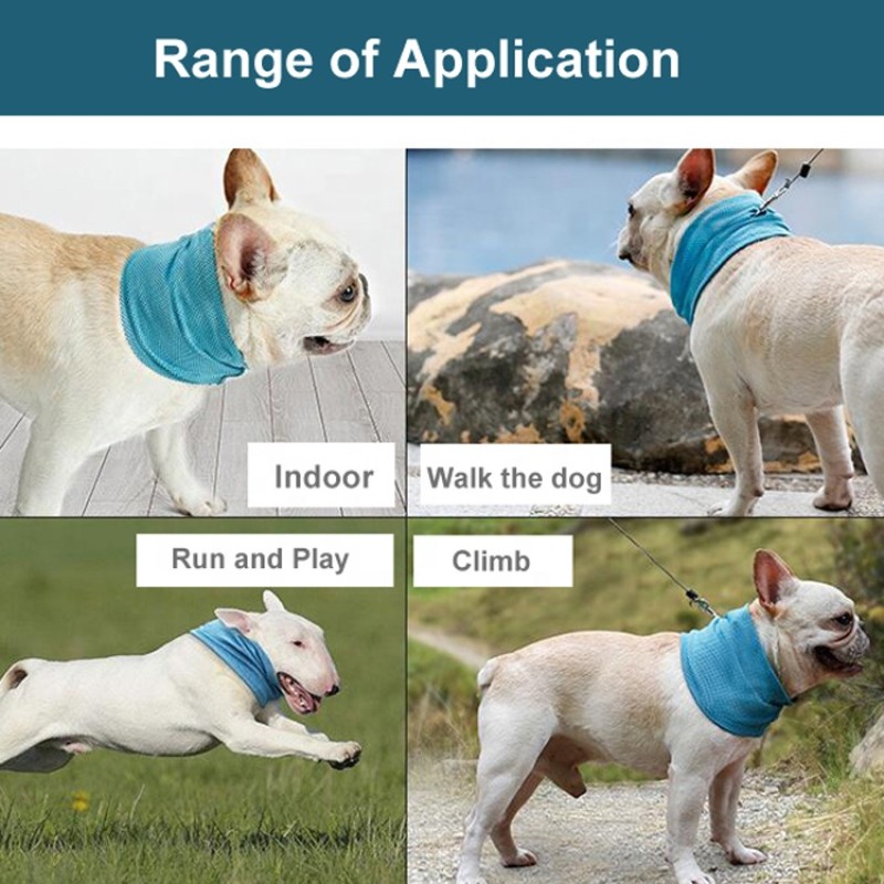 Small Dog Pool Manufacturer - Plastic Portable Bathtub