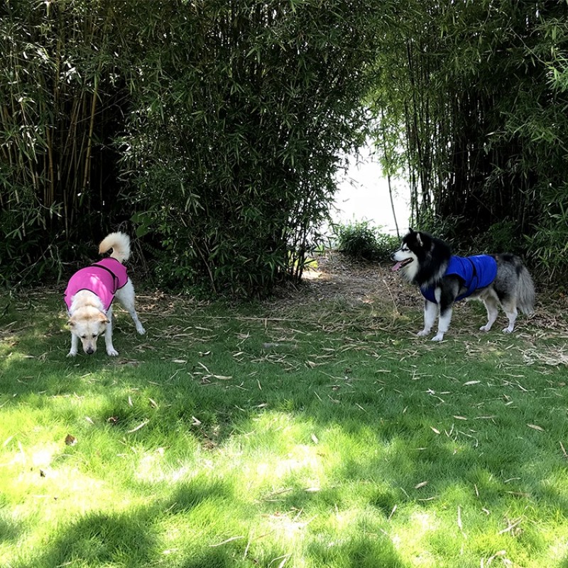 UV Protection Vest Factory - Outdoor Walking Cooler Coat