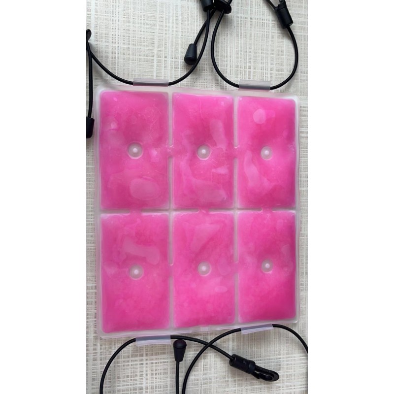 Custom Cooling Pad Factory - New Arrivals Hot Ice Pad