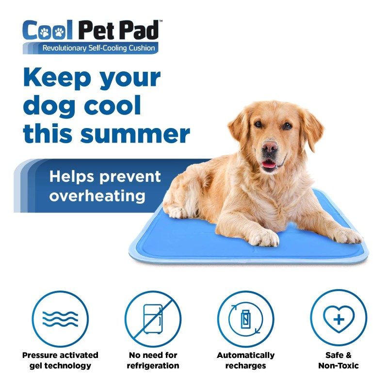 Dog Cooling Mat Manufacturer - Teddy Mattress Cushion