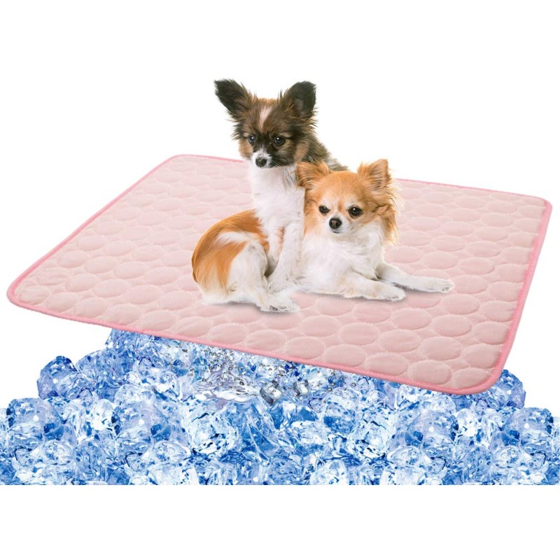 Pet Ice Pad Factory - Blue Ocean Design Cooler