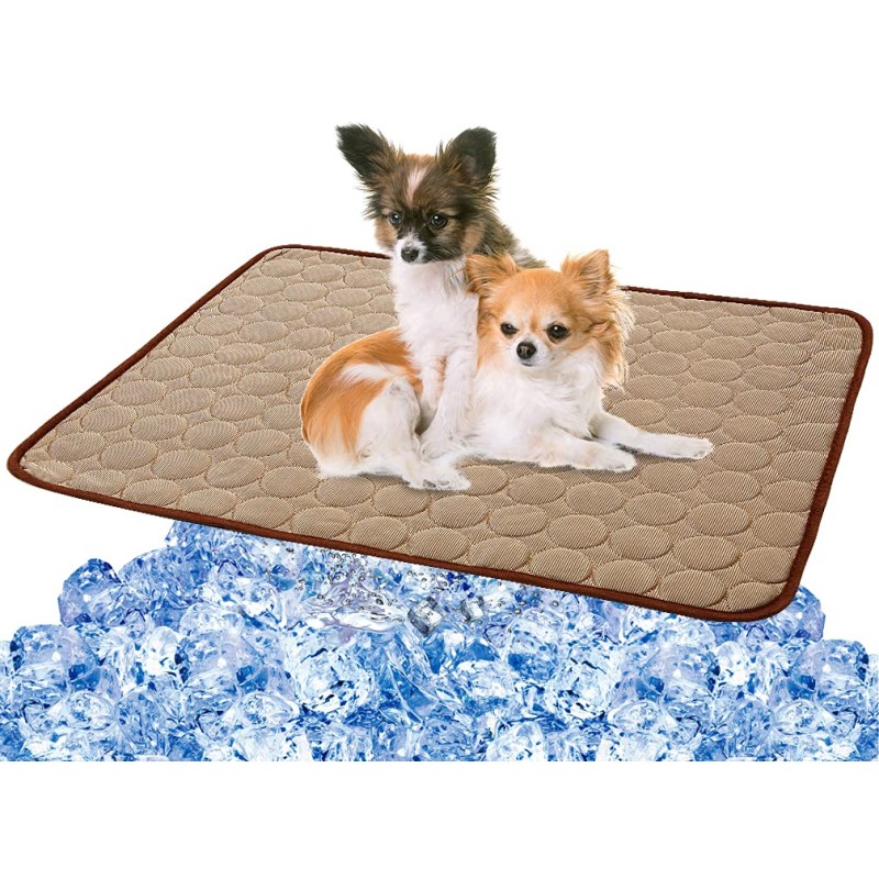 Pet Ice Pad Factory - Blue Ocean Design Cooler