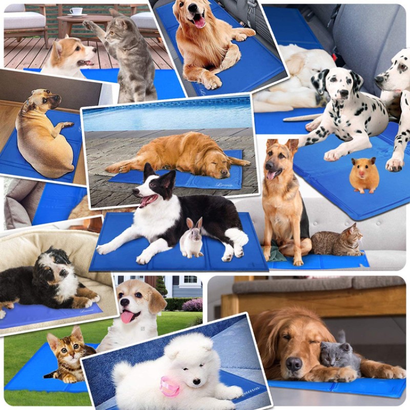 Dog Cooling Vest Manufacturer - Blue Pet Harness Jacket