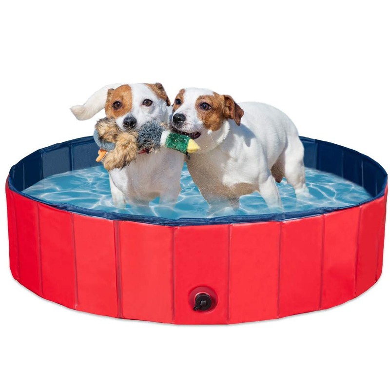 Chewing Ring Factory - Fit with Treats Toy