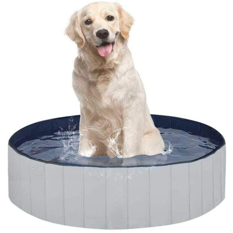 Dog Chew Toy Manufacturer - Freezable Rubber Teething