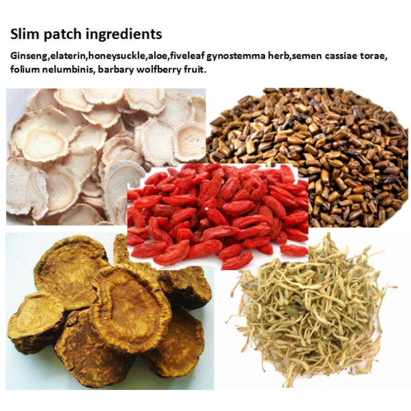 Weight Loss Patch Manufacturer - 30 PCS Natural Herbal